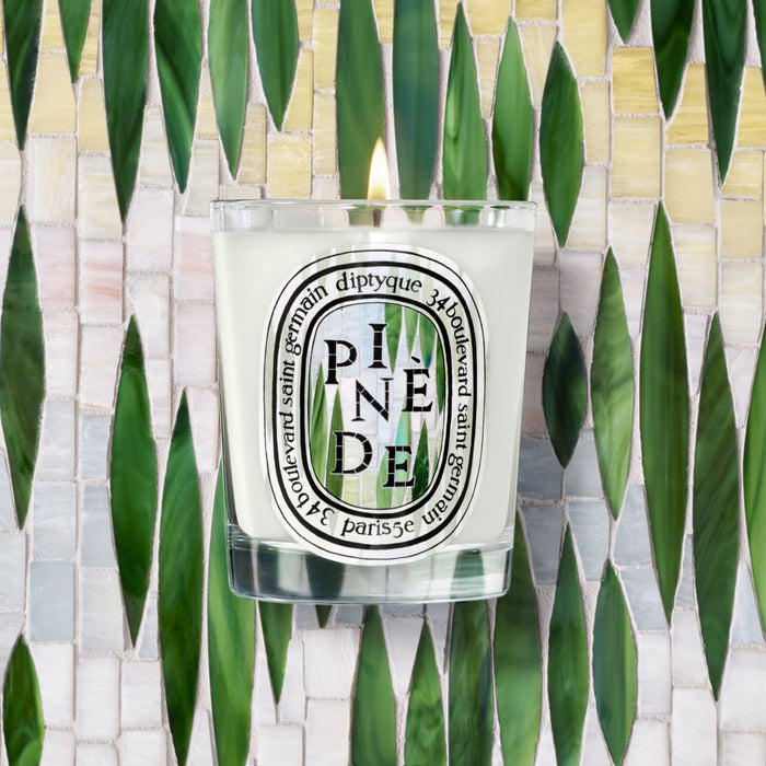 Lifestyle image of Pinède (Pine Grove) Classic Candle