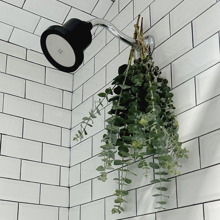 Lifestyle image of Act+Acre Showerhead Replacement Filter For Healthy Scalp + Hair