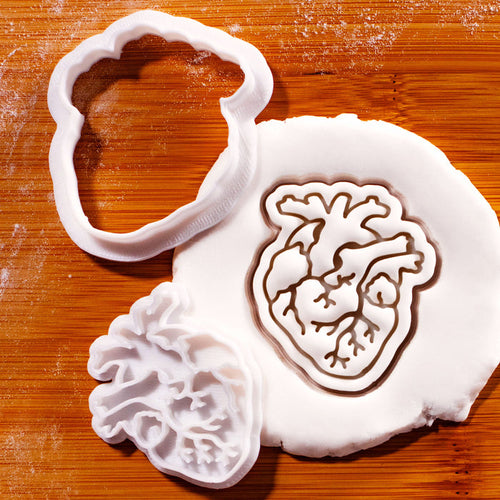 Anatomical Heart Mini Set