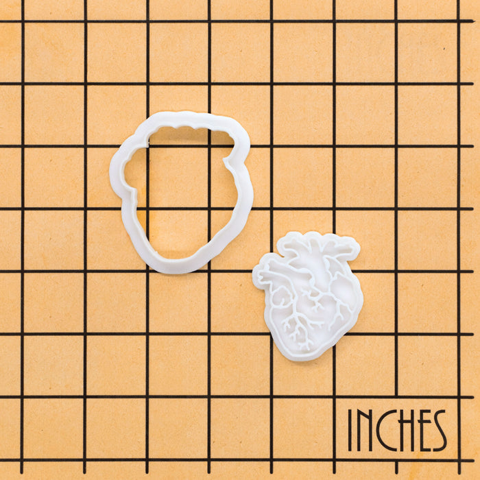 Anatomical Heart Mini Set
