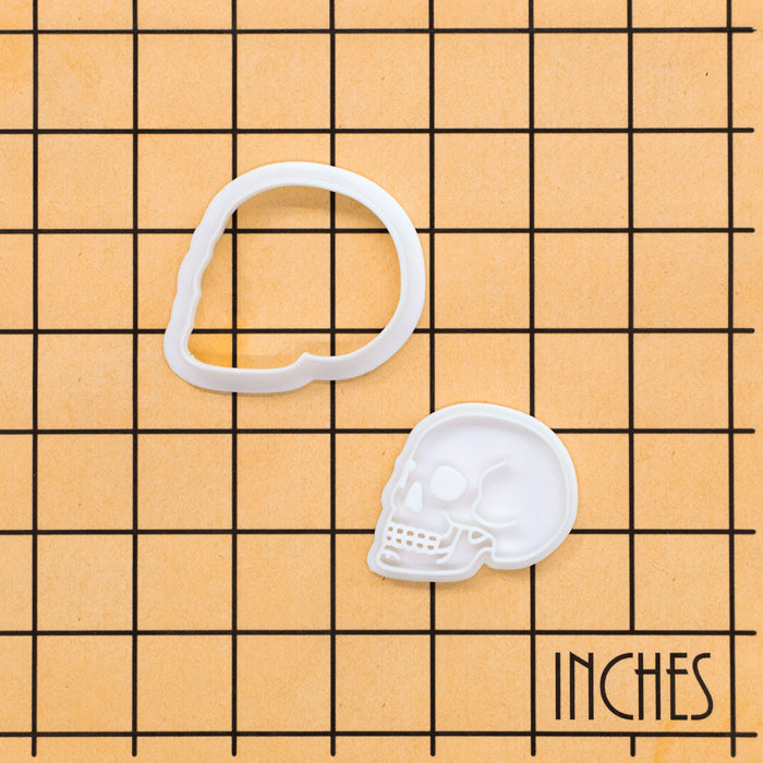 Anatomical Skull Mini Set