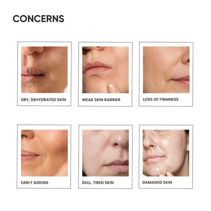 Barrier Restoration Combo Pack Concerns Image