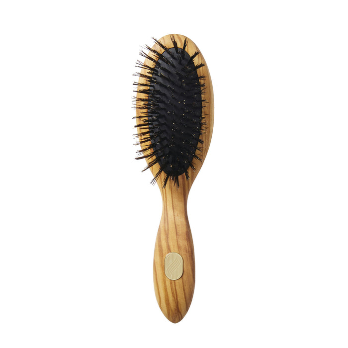 Altesse Studio Beaute Petite Repair & Shine Brush for Fine to Medium Hair main image