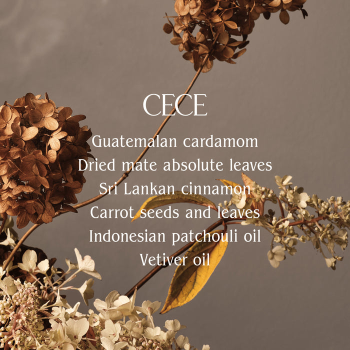 Lifestyle image of Homecourt Cece Exfoliating Hand Wash