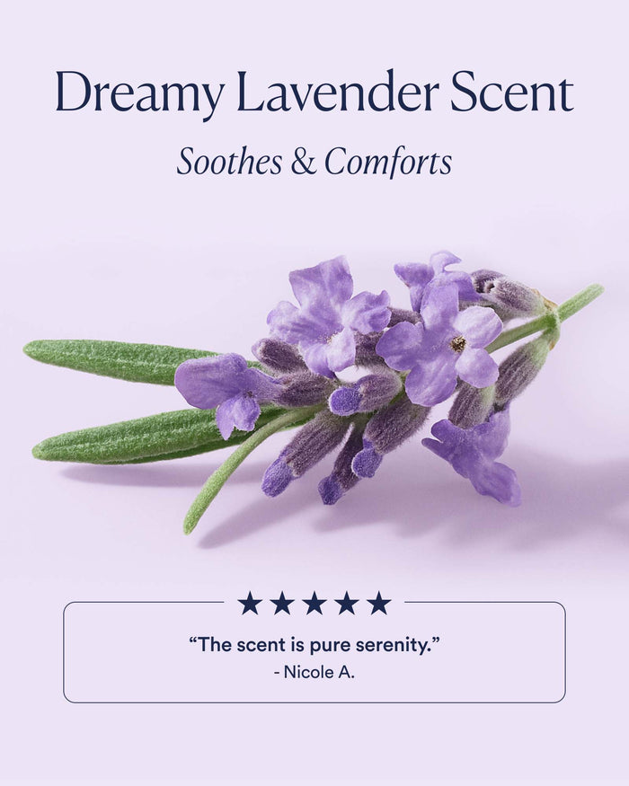 Lavender scent profile emphasizing soothing, comforting nighttime ritual