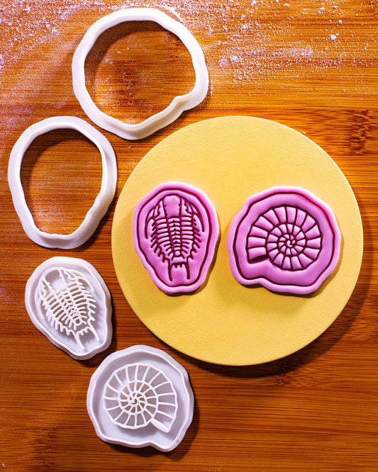 Echoes of the Sea Mini Set