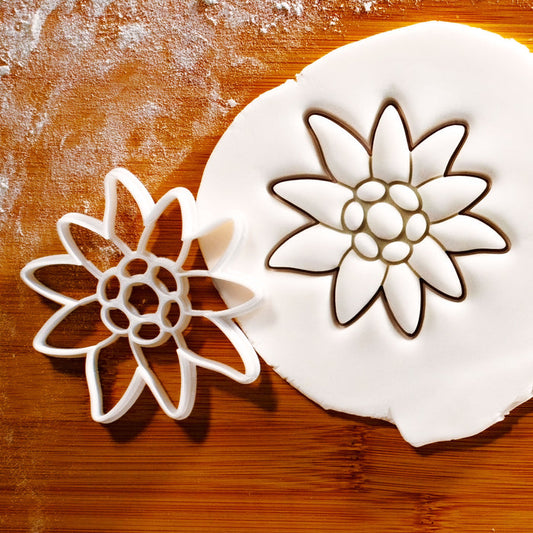 Edelweiss Flower