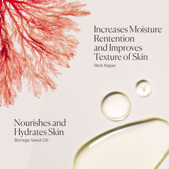 Information related to Laura Mercier Ambre Vanille