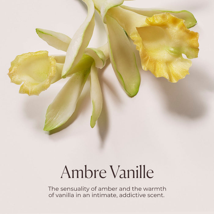 Information related to Laura Mercier Ambre Vanille