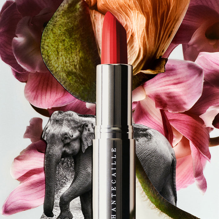 Image of product in the same collection as Chantecaille Lip Crème