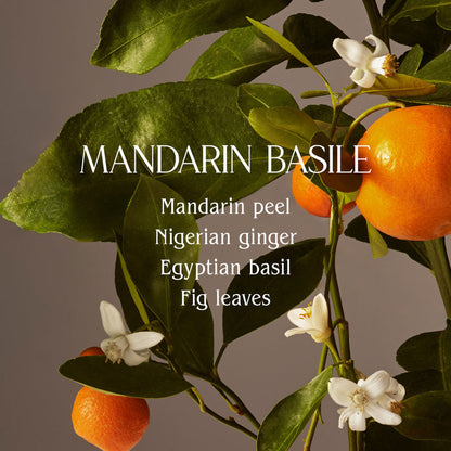Lifestyle image of Homecourt Mandarin Basile Hand Wash