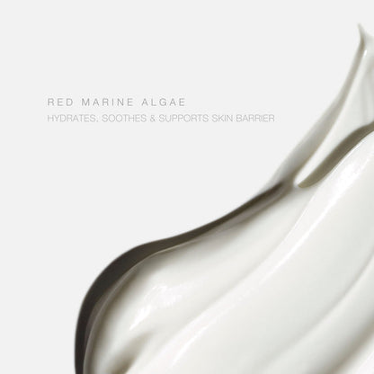 Information related to Hampton Sun Mineral Sunscreen Body Lotion SPF 30