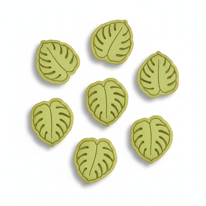 Monstera Mini Set