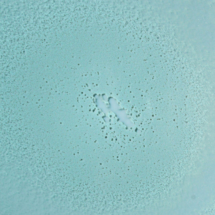 Swatch image of Bask Suncare SPF 30 Mineral Fragrance-Free Non-Aerosol Spray variant: Default Title