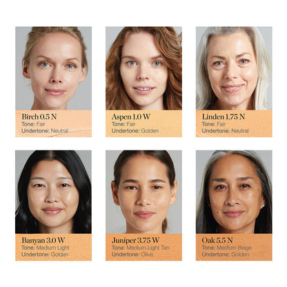 Ogee Sculpted Complexion Stick
