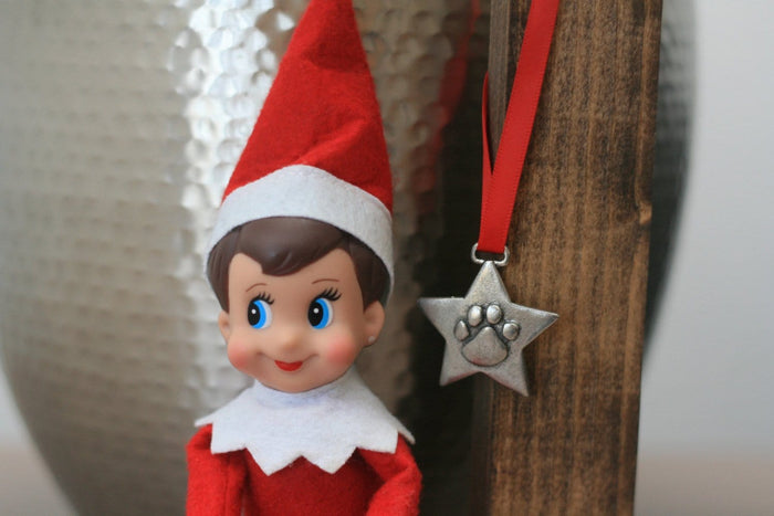 Star Paw Ornament
