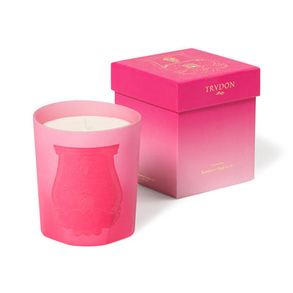 Image of the Trudon Summer Haze Classic Candle box