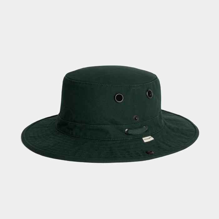 Evergreen / 7