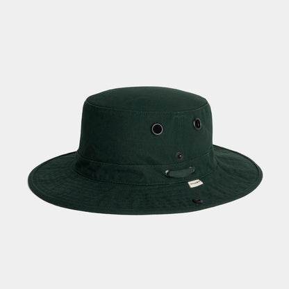 Evergreen / 7