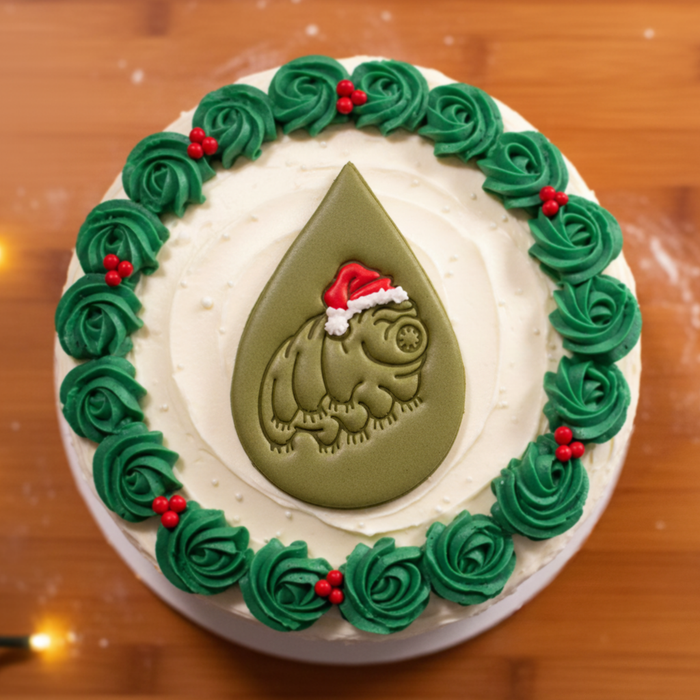 Tardigrade with Santa Hat