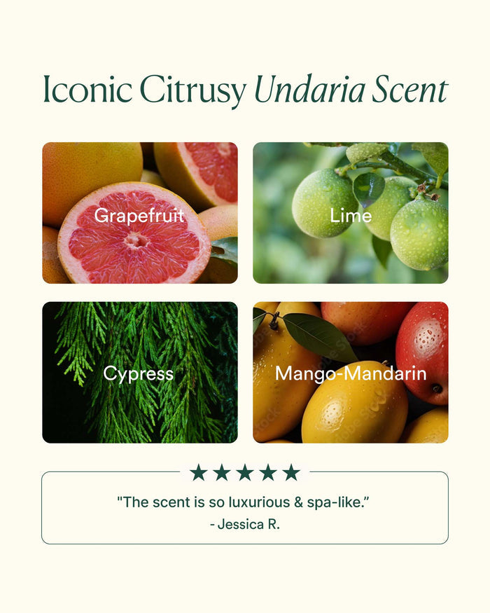 Iconic citrus Undaria scent profile featuring grapefruit, lime, cypress, and mango-mandarin