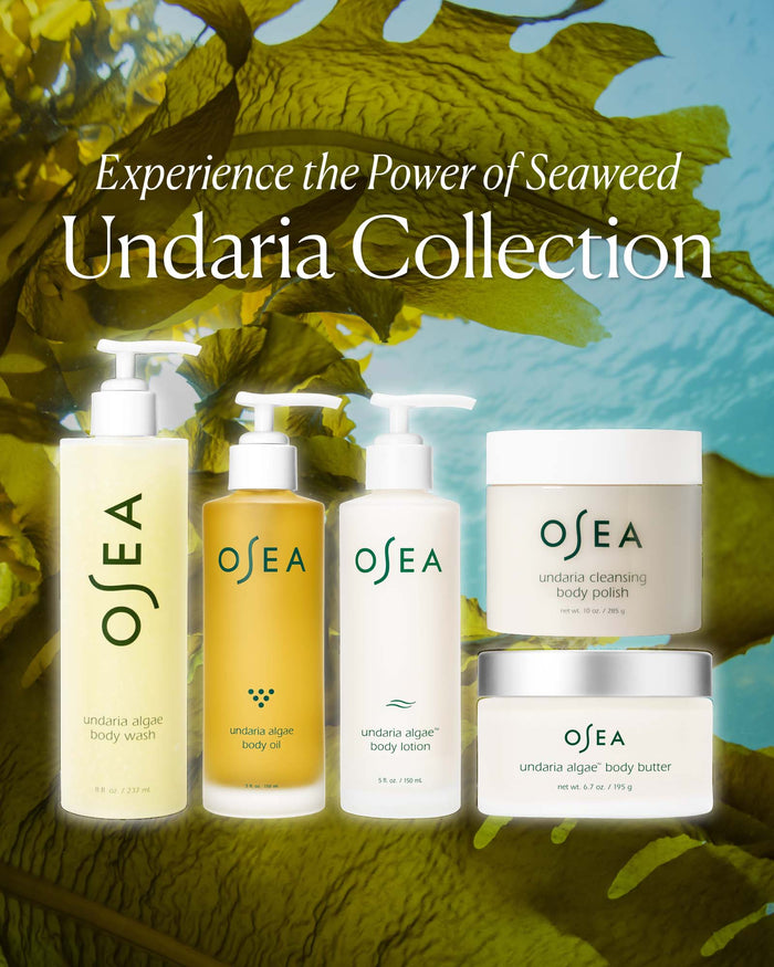Undaria Collection lineup showcasing seaweed-powered body wash, oil, lotion, polish, and butter