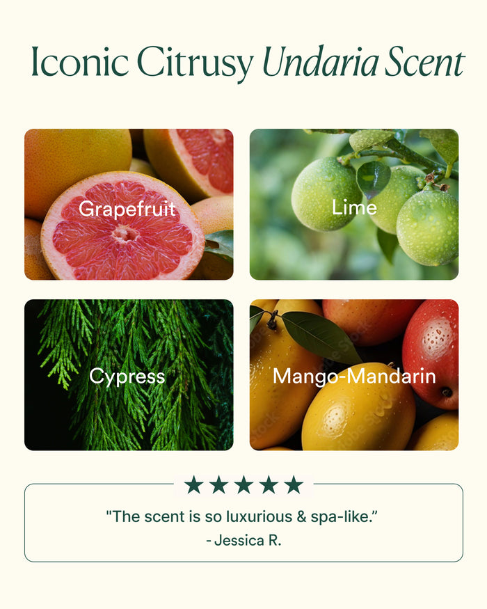 Iconic citrusy Undaria scent notes: grapefruit, lime, cypress, and mango-mandarin with five-star review