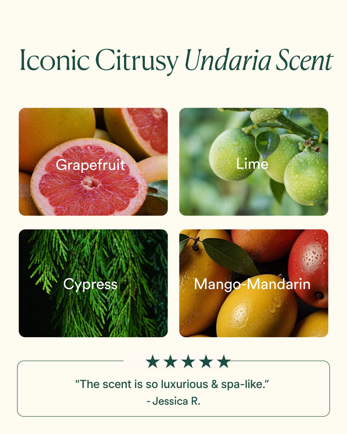 Product packaging with images of grapefruit, lime, cypress, and mango-mandarin with text indicating 'Iconic Citrusy Undaria Scent'.