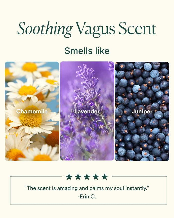 Scent profile graphic featuring chamomile, lavender and juniper notes