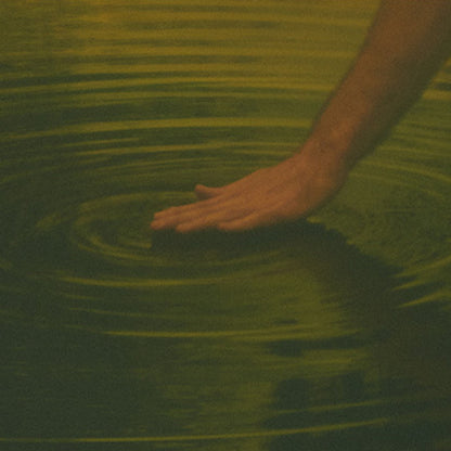 Model image of Aesop Virere Eau de Parfum